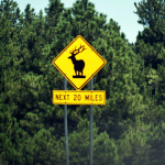 1120101_10151660065568512_425239135_o