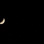 DSC_1020