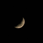 DSC_1022
