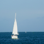 DSC_1213