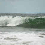 DSC_5880